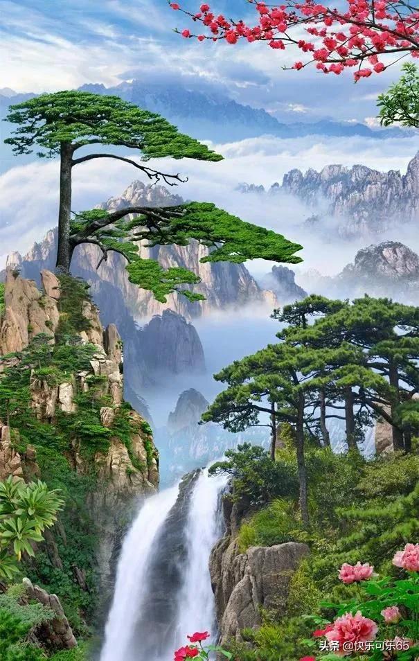 逃离太古森林