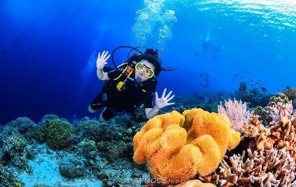 如何评价余梓桾X张子薇《海棠依旧》？游戏画面