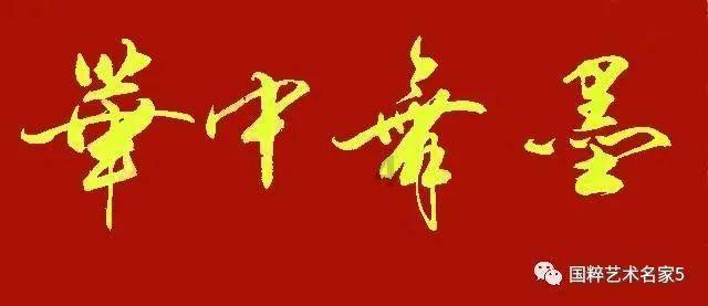 救援海盗章鱼