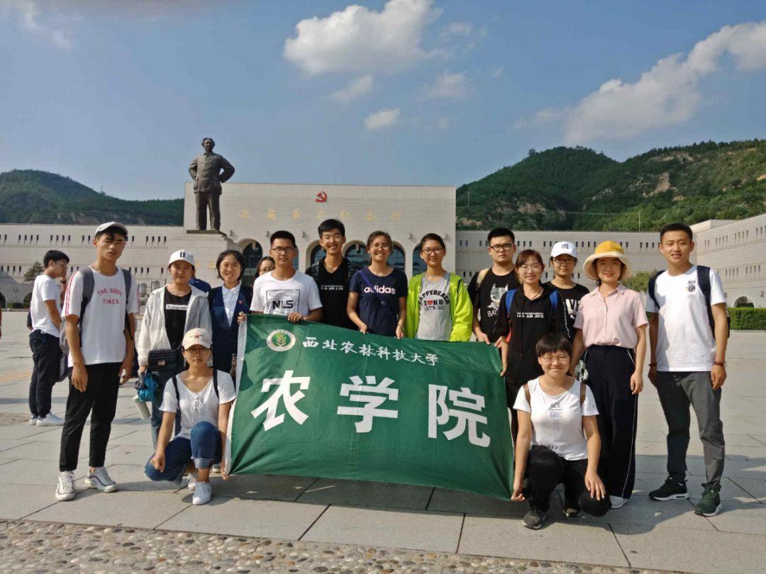 派拓网络跌0.89% 股价跌破200美元大关