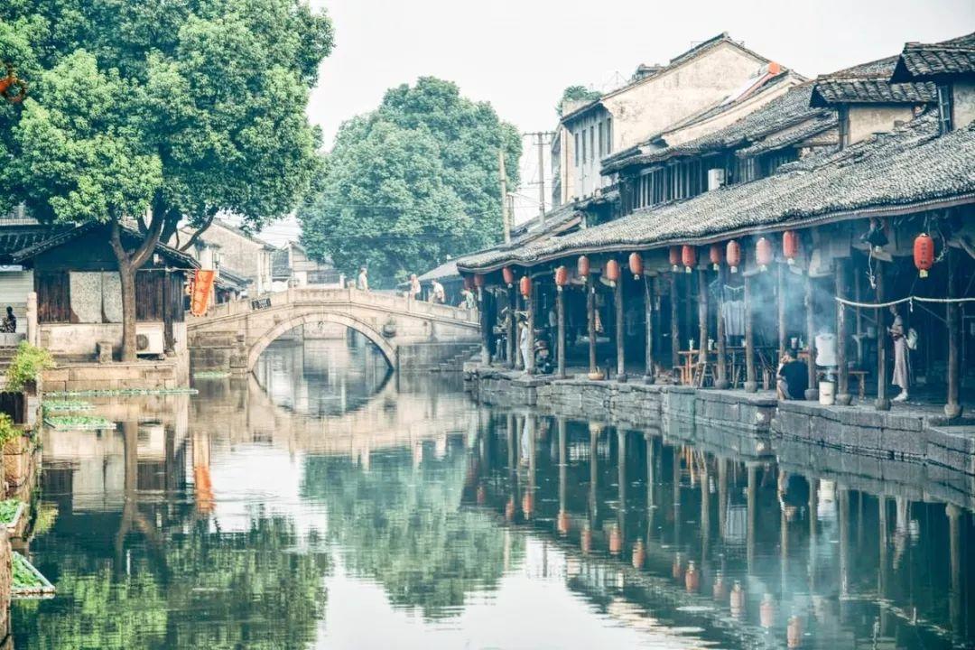 救援受困的小恐龙