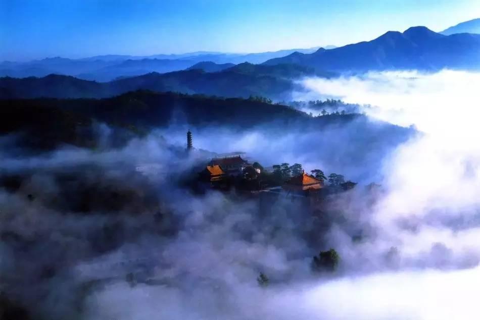 逃离天鹅森林